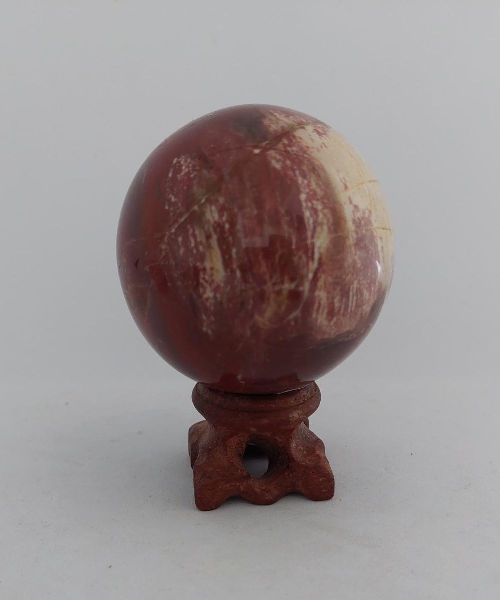 Versteend hout
