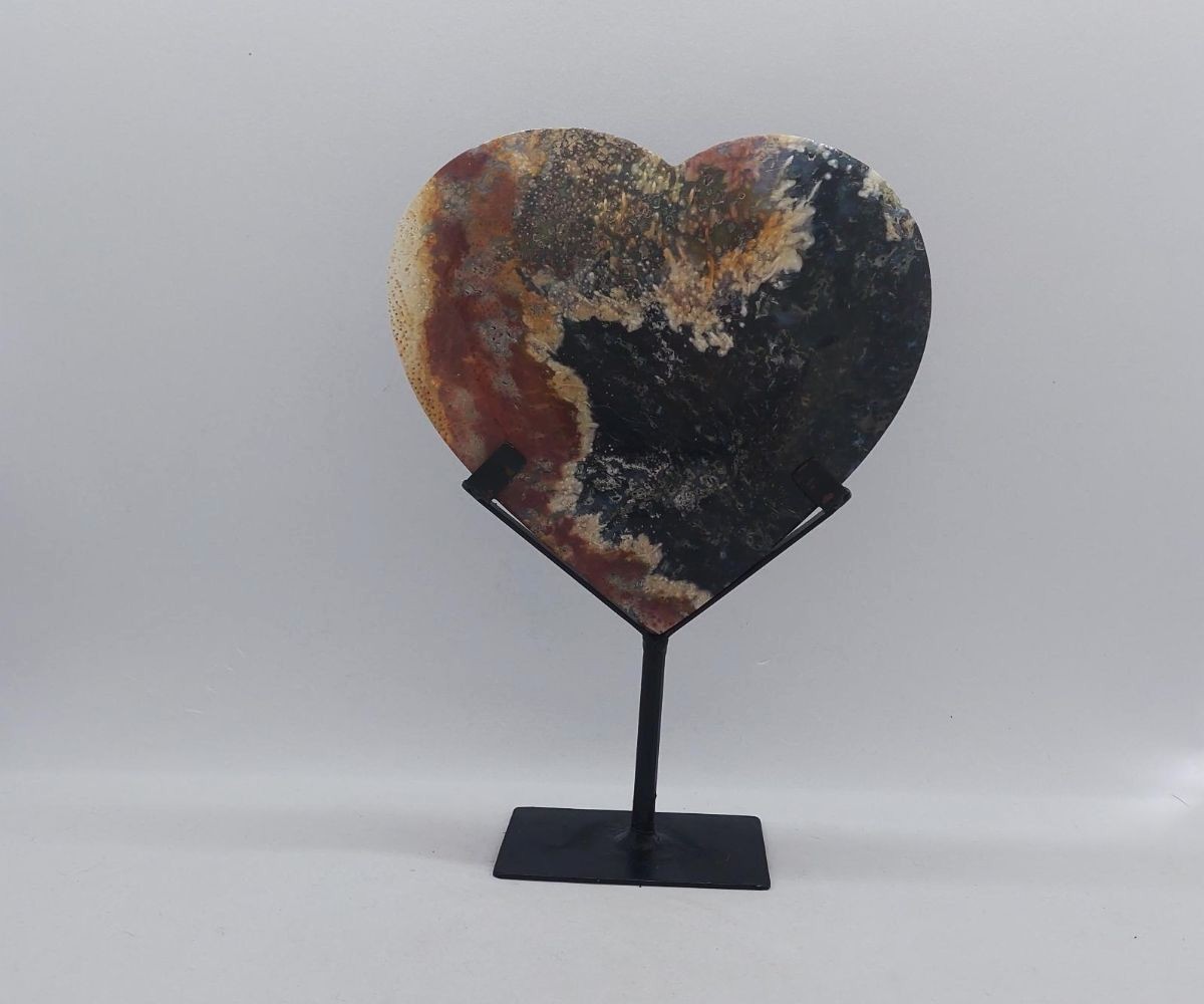 Hart versteend hout
