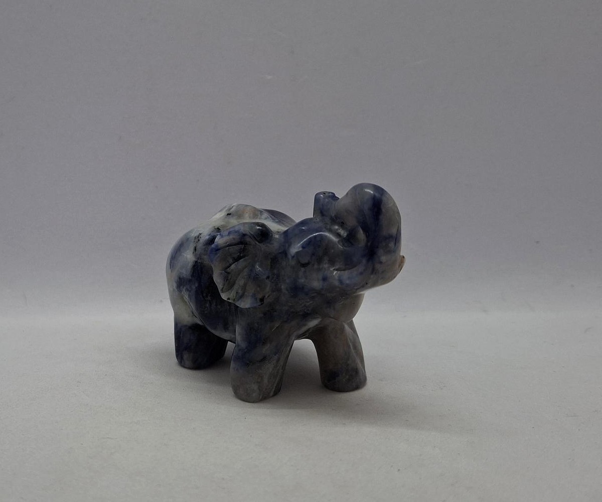 Olifant sodaliet
