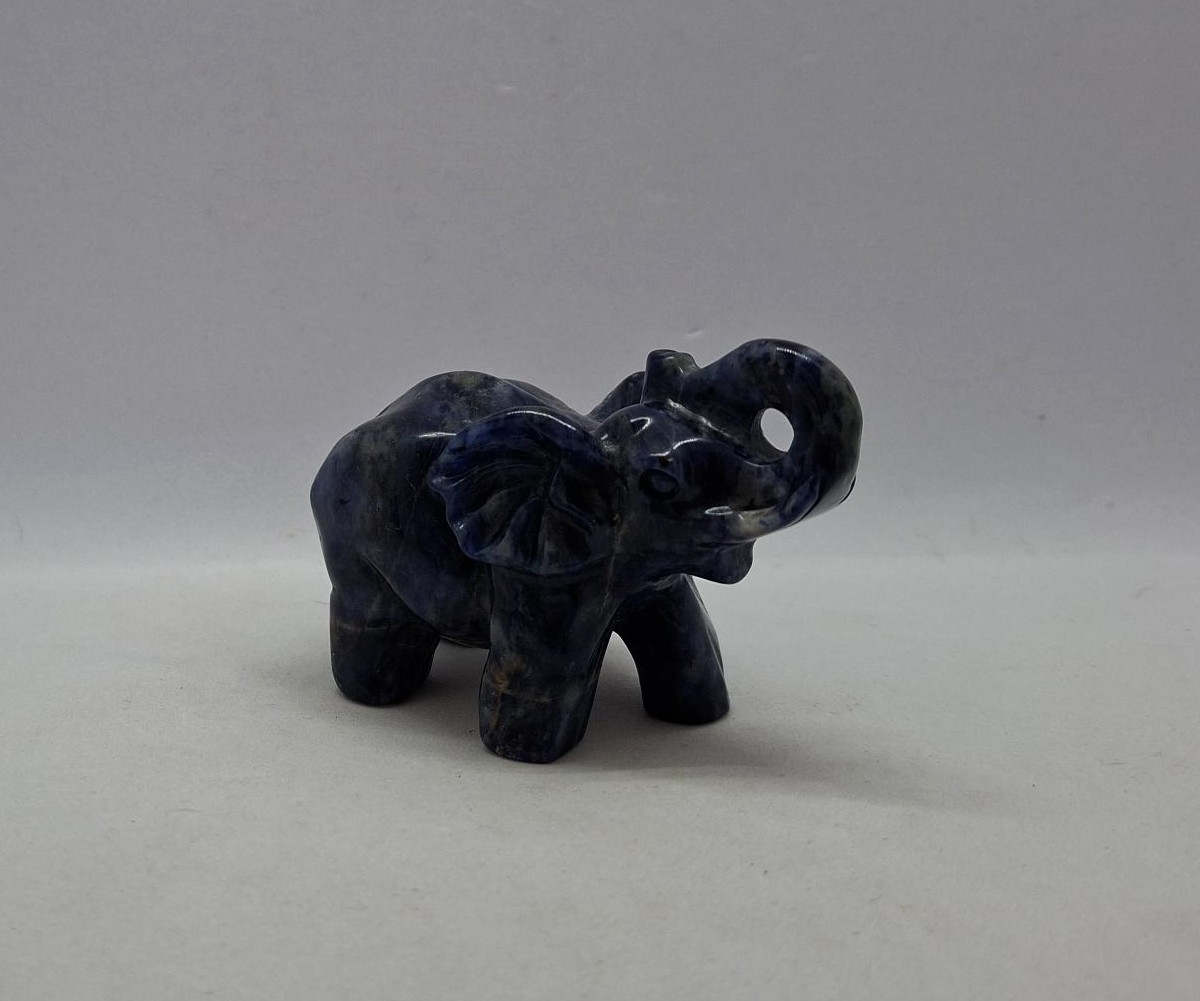 Olifant sodaliet