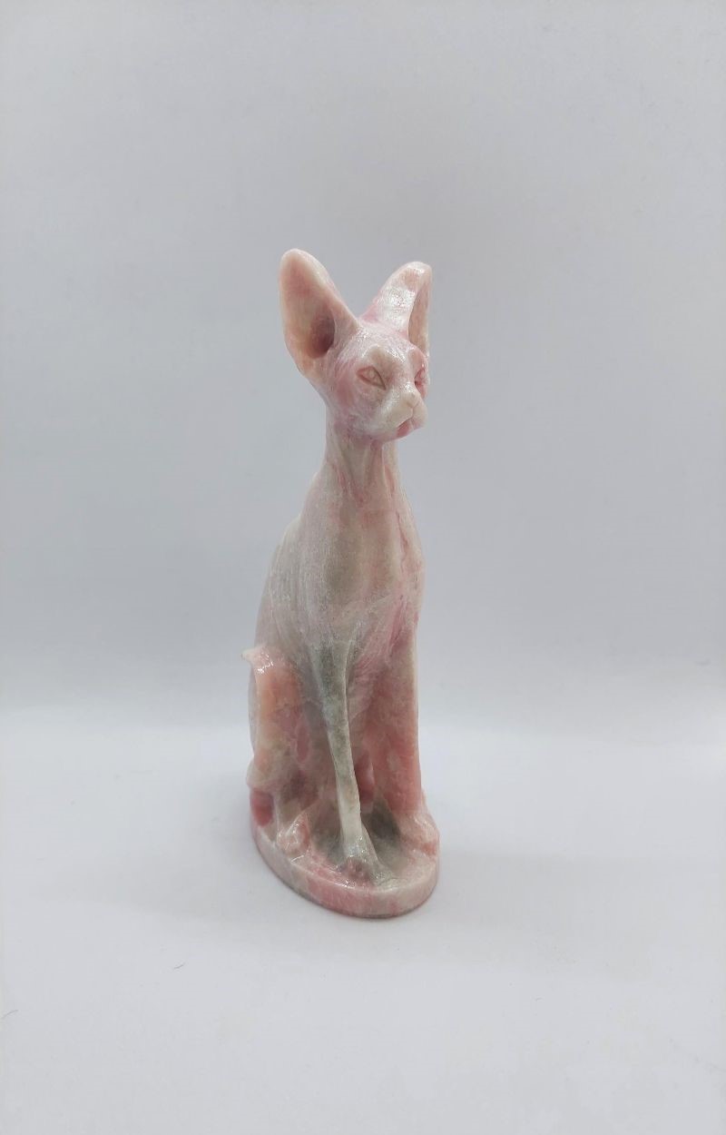 Sphynx kat roze opaal