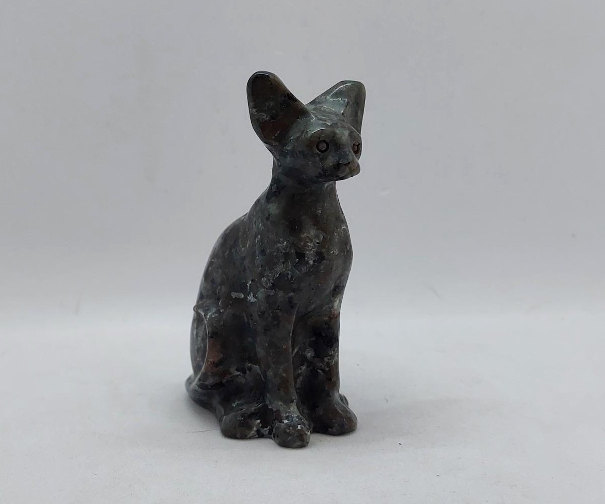 Sphynx kat yooperliet