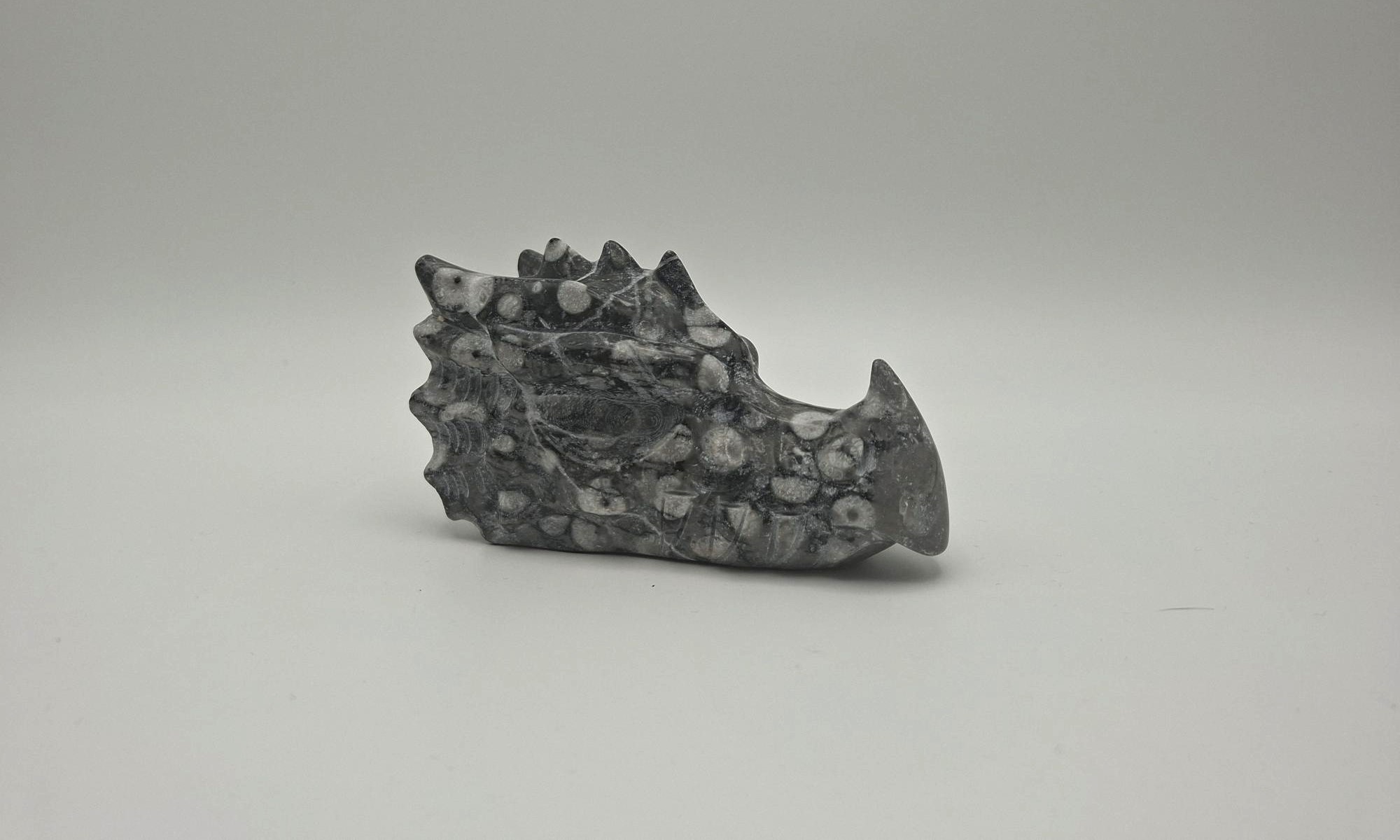 Dragon fossiel jaspis