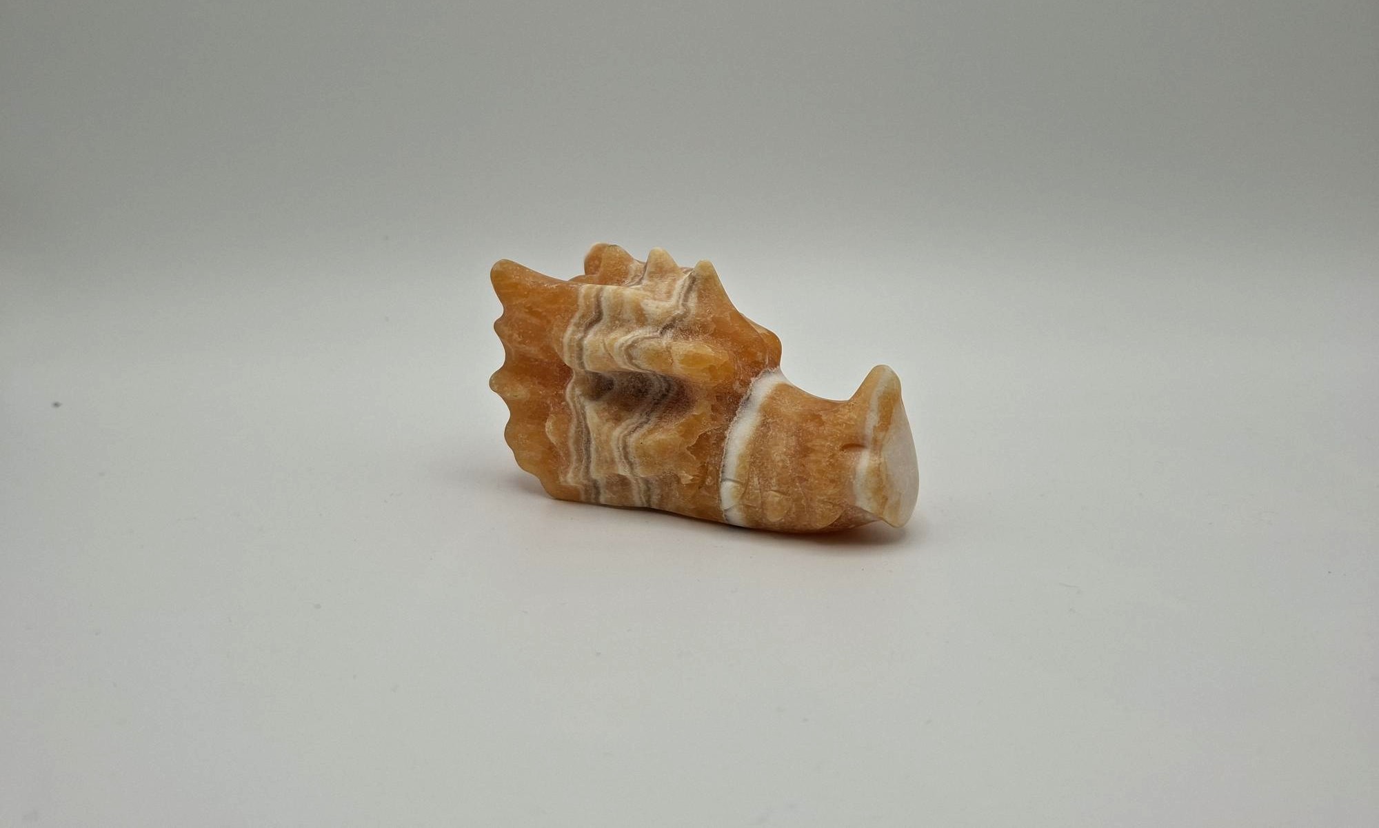 Dragon gele band calciet