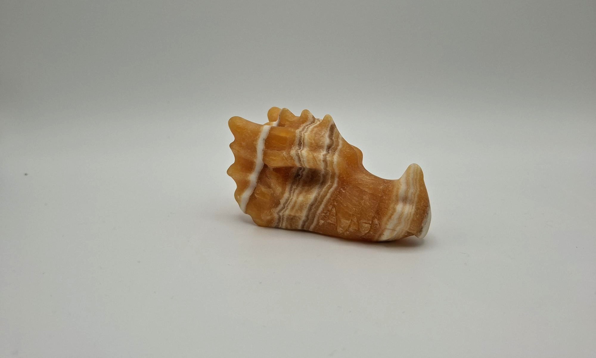 Dragon gele band calciet